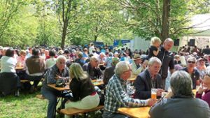 Nach erneuter Absage vom Landratsamt: Musikverein Ichenheim  gibt Hoffnung auf alten Rheinfest-Standort auf