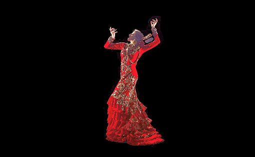 Das Stück Ich, Carmen der spanischen Choreografin und Tänzerin  María Pagés können Schüler kostenfrei ansehen.  Foto: Ruano Foto: Lahrer Zeitung