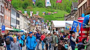 Beliebte Veranstaltung: Das wird beim Wolfacher Stadtbrunnenfest geboten