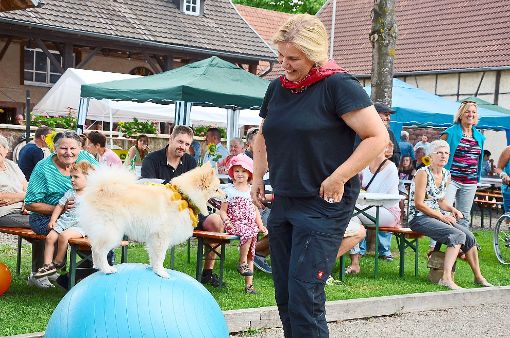 Sylvia Gmeiner vom Hundesportverein Schwanau sorgte mit ihren Vierbeinern für einen Höhepunkt beim Sommerfest des Historischen Fördervereins Schwanau rund um das Heimethus in Nonnenweier. Der Spitz Snow zeigte, dass auch Vierbeiner sehr gut balancieren können.  Foto: Bühler