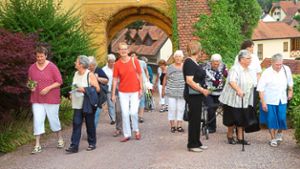 Mehr als 60 Frauen trafen sich, um gemeinsam den Gottesdienst in der evangelischen Kirche zu feiern und den Sommerabend auf dem Mahlberger Schloss zu genießen. Foto: KFD