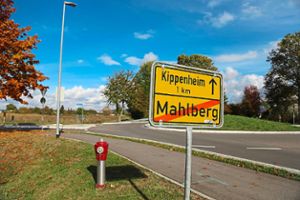 Das geplante Gewerbegebiet Industriestraße Nord sorgt für dicke Luft zwischen Kippenheim und Mahlberg. Foto: Decoux-Kone Foto: Lahrer Zeitung