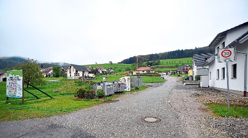 Das Neubaugebiet Am Kappelberg in Dörlinbach wird weiter ausgebaut. Diesmal geht es um die Kanalisation. Die Verwaltung rechnet mit Kosten von 305 000 Euro.   Foto: Baublies