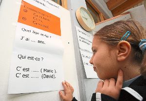 Die französische Sprache sollten Kinder in der Grenzregion so früh wie möglich lernen, finden die Oberbürgermeister von Kehl und Oberkirch sowie die WRO.  Foto: Seeger