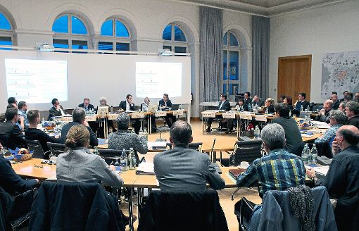 Die Informationsveranstaltung im Lahrer Rathaus stieß auf großes Interesse bei Vertretern der Kommunen.  Foto: Achnitz