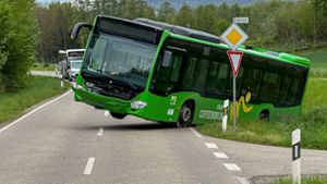 Linienbus in Schräglage: Nach dem Unfall musste eine Fachfirma das Schwergewicht am Dienstag aus dem Straßengraben bergen. Foto: Einsatz-Report 24