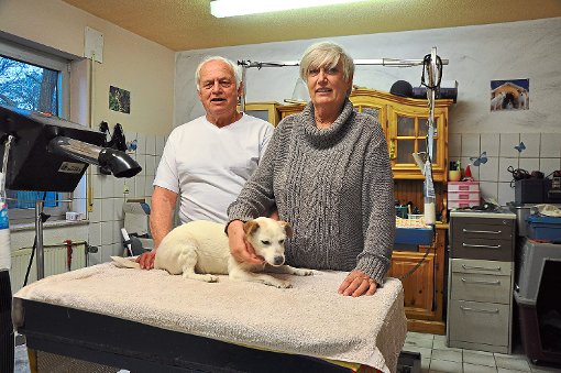 Eine alte Hündin, zwei ältere Hundeliebhaber: die 17-jährige Rosemarie mit Ute und Gustav Weber  Foto: Bender