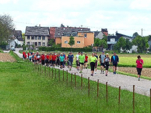 170 Läufer haben am Samstag für den guten Zweck die Sportschuhe geschnürt. Auf drei unterschiedlichen Strecken ging es mit oder ohne Stöcke durch Ichenheim.   Foto: Fink