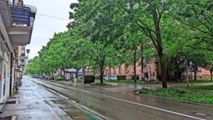 Wenn es nach Organisator Ralph Fröhlich geht, soll die Weingartenstraße für das Straßenbaumfest für zwölf Stunden für Autos gesperrt werden. Foto: privat