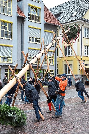 On de Baum – Baum hoch! heißt es am Sonntag, 30. April auf dem Klosterplatz. Foto: Narrenbaumgilde