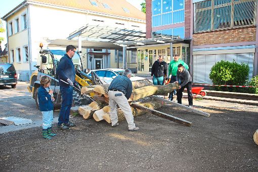Die ehrenamtlichen Helfer laden die vom Bauhof vorbereiteten Balancier- und Sitzstämme ab.  Foto: Lehmann