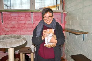 Katja Spirgartis kümmert sich mit vielen anderen Helferinnen im Tierheim Lahr um herrenlose Vierbeiner.    Foto: Werner