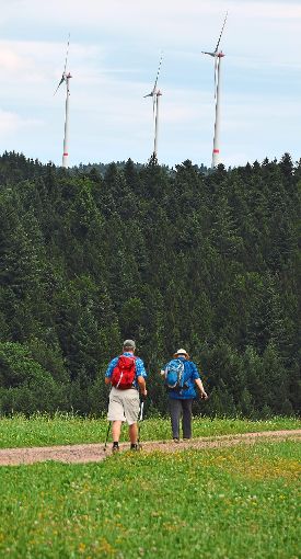 Immer mehr Windräder drehen sich im Schwarzwald. Unternehmer Martin Herrenknecht macht dagegen mobil.    Foto: Braun