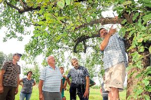 Obstbauberater Hansjörg Haas zeigte Interessierten auf den Streuobstwiesen der Landesgartenschau, was beim Obstbaumschnitt zu beachten ist.   Foto: Baublies