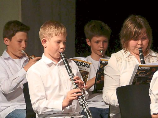 Die Jüngsten zeigten, dass sie bereits nach kurzer Zeit mit ihren Instrumenten umzugehen wissen. Foto: Liebl Foto: Lahrer Zeitung