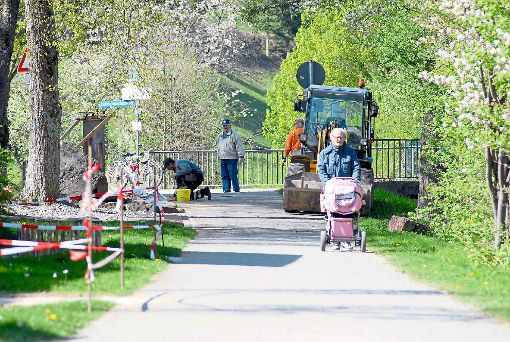 Gemeinde und Verkehrsverein Seelbach weihen am 19. April den Entenweg, ein Fußweg entlang der Schutter, ein. Aktuell laufen noch die letzten Arbeiten.  Foto: Baublies