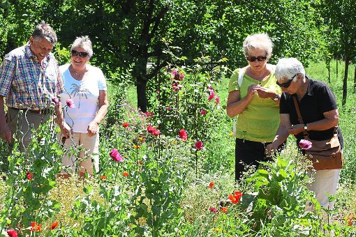 Die Besucher erfreuten sich an der Pflanzenpracht.  Foto: Meier