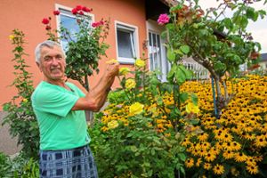 Begeisterter Hobbygärtner: Alfons Fässler hat in seinem Bauerngarten unter anderem Sonnenaugen angepflanzt.  Foto: Breuer