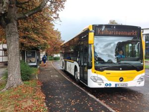 Die Gemeinde Seelbach und die SWEG haben zum diesjährigen Katharinenmarkt wieder mehrere Sonderbusse eingesetzt, ein Angebot, das die Besucher gern angenommen haben.   Foto: Gemeinde