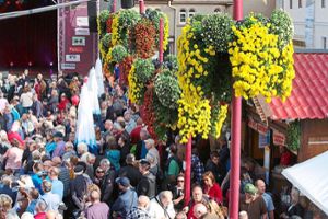 Hunderte Gäste tummelten sich bei guten Wetter während der Chrysanthema auf dem Lahrer Markplatz. Foto: Kiryakova Foto: Lahrer Zeitung