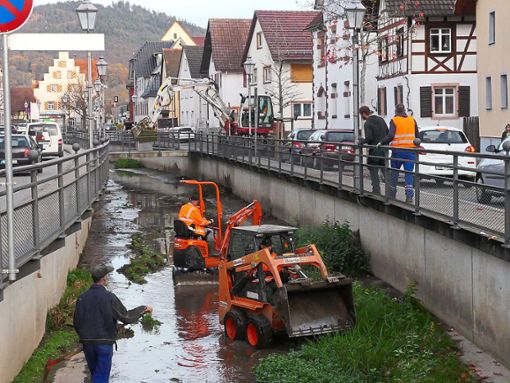 Die Gemeinde hat den Friesenheimer Dorfbach  ausbaggern lassen, um einen besseren Wasserabfluss zu gewährleisten. In den engen Nahtstellen kamen nur kleine Bagger, Schaufellader und Arbeiter zum Einsatz. Foto: Bohnert-Seidel
