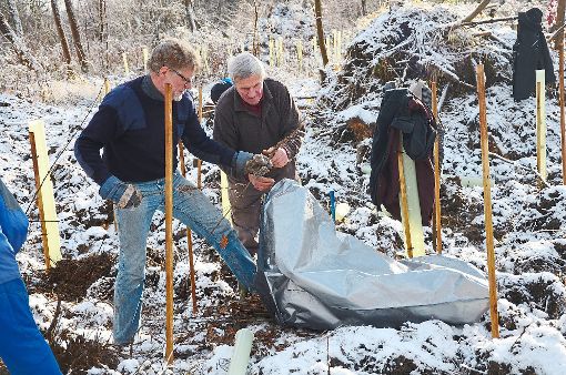 Bei Schnee und eisigen Temperaturen haben Ehrenamtliche am Samstag neue Bäume im Forst gepflanzt. Foto: Bühler