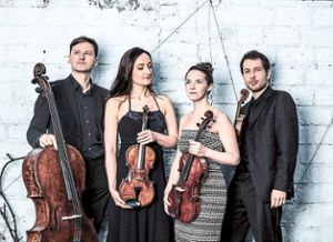 Das Kölner Alinde Quartett gastiert  in Oppenau. Foto: Weinrauch Foto: Lahrer Zeitung
