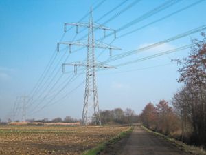 Auf 250 Kilometern sollen die Stromtrassen zwischen Waldshut und Germersheim ab 2021 ausgebaut werden – auch die Ortenau ist betroffen.  Foto: Amprion Foto: Lahrer Zeitung