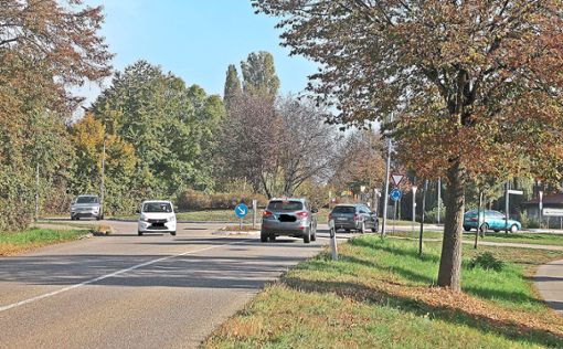 Der Kreisverkehr am Ortsausgang von Langenwinkel Richtung Kippenheimweiler. Dort soll die geplante neue Kreisstraße anknüpfen.  Foto: Mühl