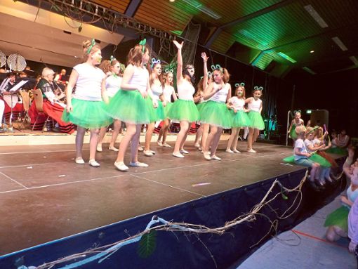 Die Mitglieder der Tanzgruppe Next Step betraten als Frösche die Bühne – und erhielten viel Beifall.  Foto: Fink Foto: Lahrer Zeitung