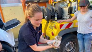 Herzergreifende Rettungsaktion: Baby-Katze von Offenburger Feuerwehr aus Motorraum befreit