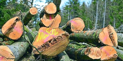 Für 2020 ist ein Hiebsatz von 5000 Festmetern im Gemeindewald beschlossen.     Symbolfoto: Zucchi Foto: Schwarzwälder Bote