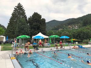 21 Vereine nahmen am Zwölf-Stunden-Schwimmen im Hornberger Freibad teil. Foto: FVFH Foto: Schwarzwälder Bote