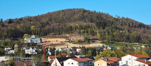 Ein Berg verändert sein Gesicht: Das Altenberg-Areal mit dem weißen Thaeder-Haus (links oben) und dem roten Schauenburg-Haus (rechts) wird erschlossen. Die Nachfrage ist riesig. Foto: Braun