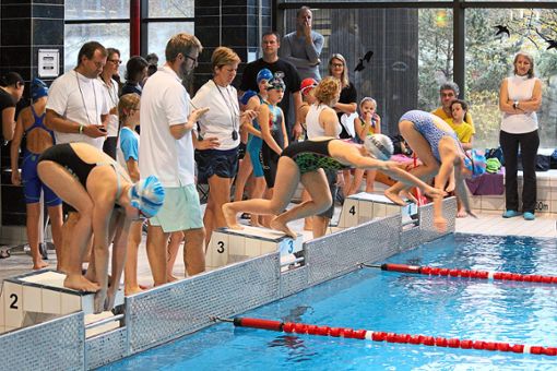 Mehr als 200 Schwimmer gingen im Lahrer Hallenbad an den Start. Foto: Verein Foto: Lahrer Zeitung