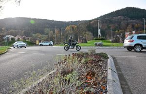 Der Kreisverkehr vor dem Ortseingang Seelbach gehört zu den Flächen, die mit Blumen bunter gestaltet werden sollen. Foto: Baublies