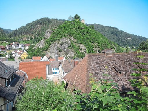 Die Konzeption des Schlossbergs beschäftigt den Gemeinderat schon seit einigen Jahren. Foto: Jehle Foto: Schwarzwälder Bote
