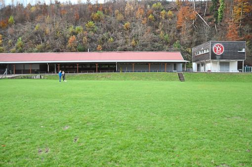Der Rasenplatz des SV Dörlinbach ist in keinem guten Zustand mehr. Deshalb möchte der Verein einen neuen Kunstrasenplatz bauen.  Foto: Archiv: Weber