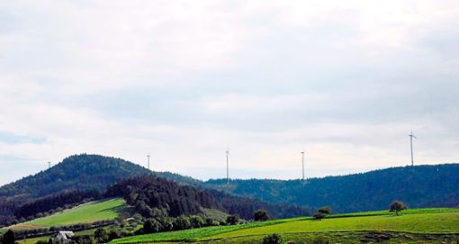 Der Bürgerwindpark Südliche Ortenau besteht aus insgesamt sieben Windkraftanlagen, die auf dem Höhenzug zwischen Schuttertal und Ettenheim stehen. Foto: Baublies