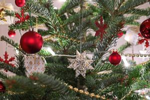 Ausgediente Weihnachtsbäume werden von der Abfallwirtschaft Ortenaukreis angenommen – allerdings ohne Lametta, Kugeln und Dekoration. Foto: Felix Foto: Lahrer Zeitung