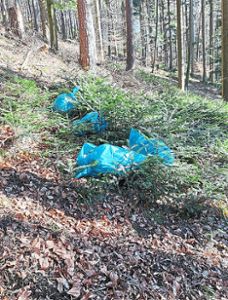 Die Säcke mit den Überresten von vermutlich zwei Schafen wurden schon im Februar im Wald in der Nähe der Mülldeponie Vulkan entsorgt. Foto: Polizei