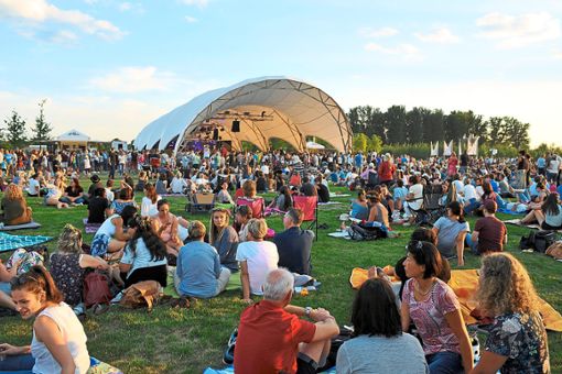 Ein Bild (fast) wie in Woodstock: Zahlreiche Besucher waren zum Auftritt von Gregor Meyle gekommen.  Fotos: Baublies Foto: Lahrer Zeitung