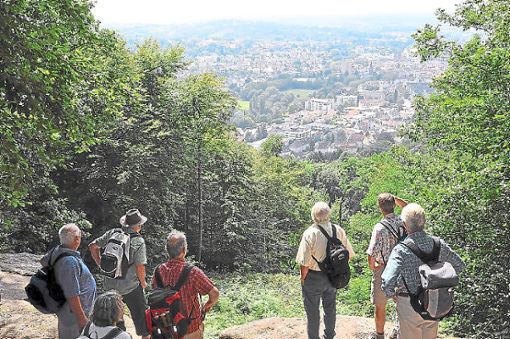 Solche tollen Aussichten bieten die Wander-Touren des Reichenbacher Schwarzwaldvereins.  Foto: Archiv
