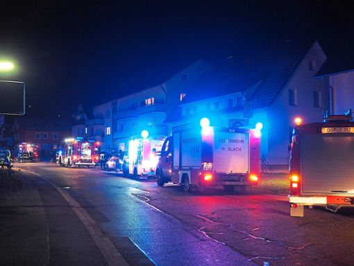 Zum Einsatz rückten insgesamt 48 Feuerwehrleute aus Haslach, mit den Abteilungen und Hausach an. Foto: Reinhard Foto: Schwarzwälder Bote