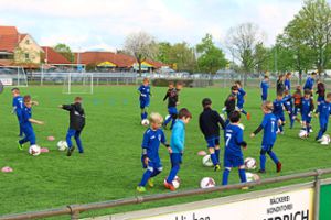 34 Nachwuchskicker nahmen am ersten Fußballcamp des TuS Mahlberg teil. Foto: Verein Foto: Lahrer Zeitung