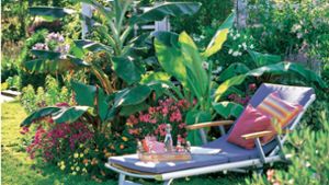 Exotische Pflanzen  – hier Bananenstauden – können den heimischen Garten aufwerten. Foto: dpa