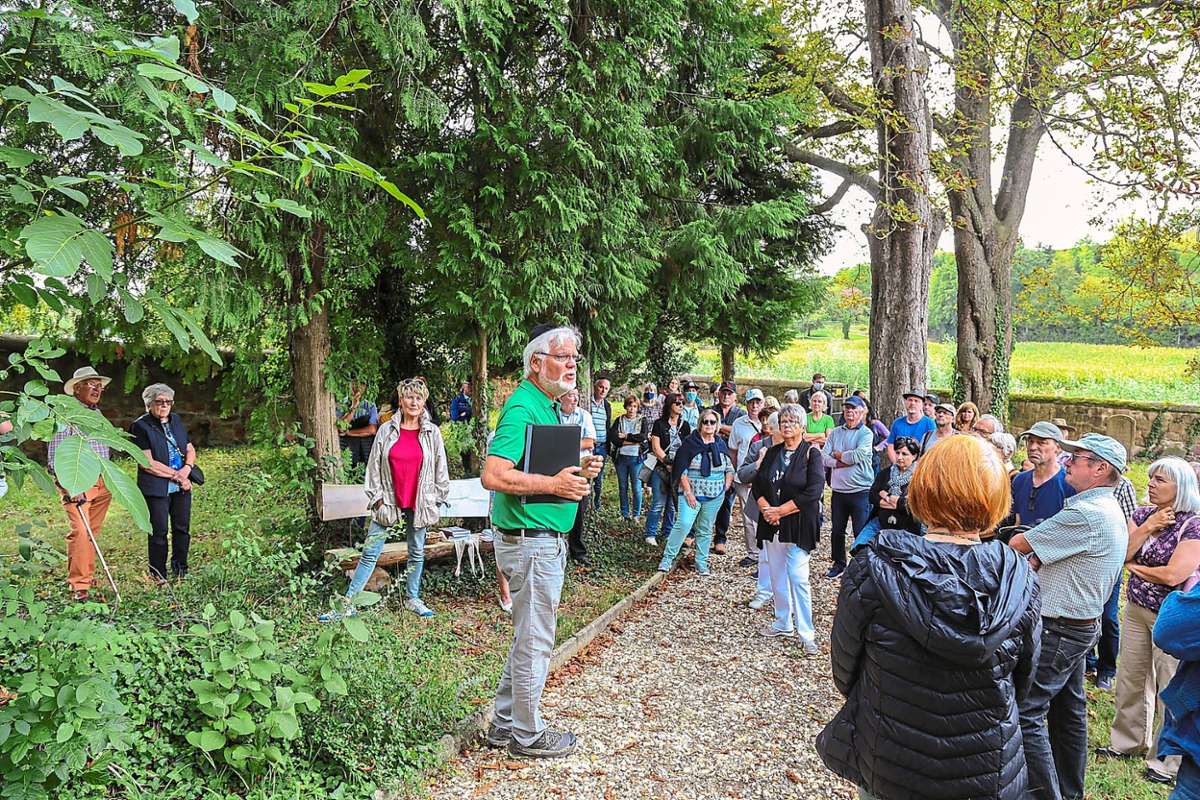 Rund hundert Besucher nutzten die Gelegenheit, mit Fördervereinsvorsitzenden Jürgen Stude, den Schmieheimer Judenfriedhof zu erkunden.