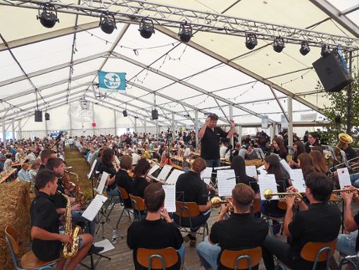 Das Jugendorchester Hausach-Fischerbach sorgte  im gut besetzten Festzelt für Stimmung.   Foto: Dorn