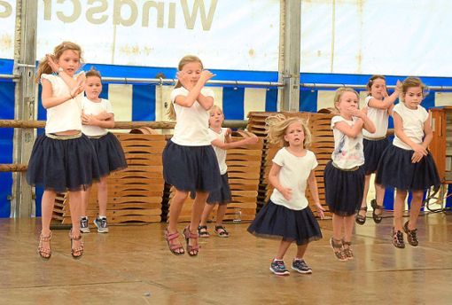 Voller Körpereinsatz: die Dancing Girls des TV Schuttertal Foto: Dach Foto: Lahrer Zeitung