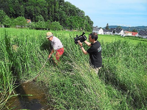 Die Dreharbeiten zum Dokumentarfilm  Haslach und die Störche hat die Storchenfreunde in diesem Vereinsjahr besonders beschäftigt. Foto: Verein